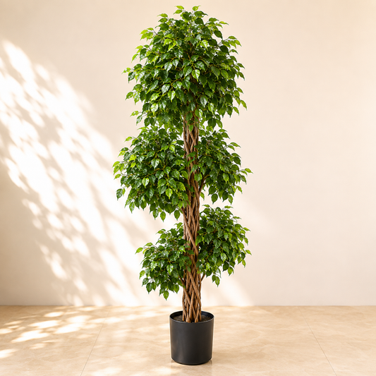 Artificial Braided Ficus Topiary Tree