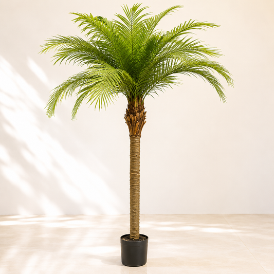 Artificial Date Palm With Feathery Fronds