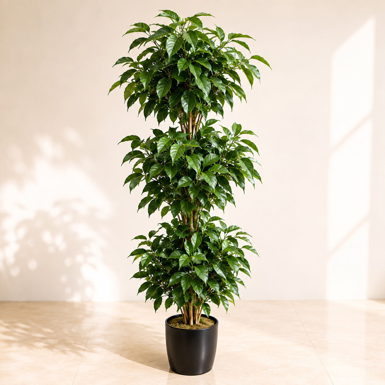 Artificial Ficus Layered Topiary Plant