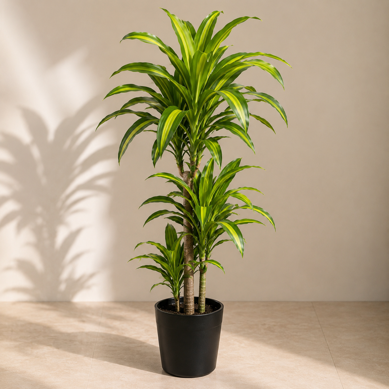 Artificial Lemon Lime Dracaena Plant