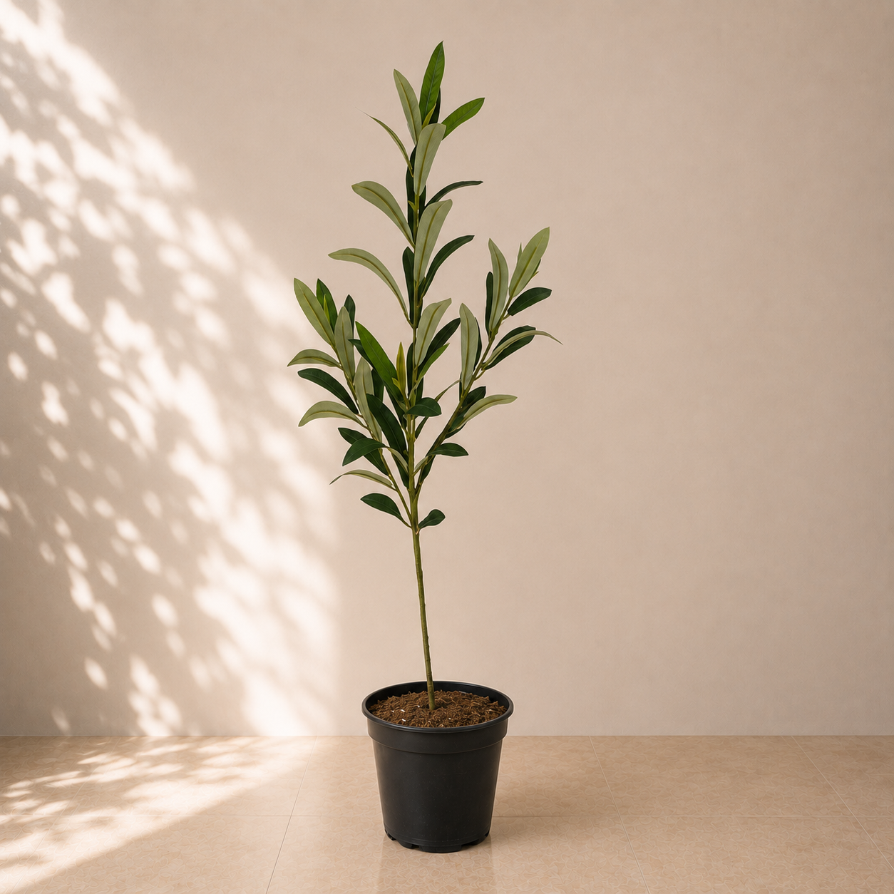 Artificial Olive Leaf Plant