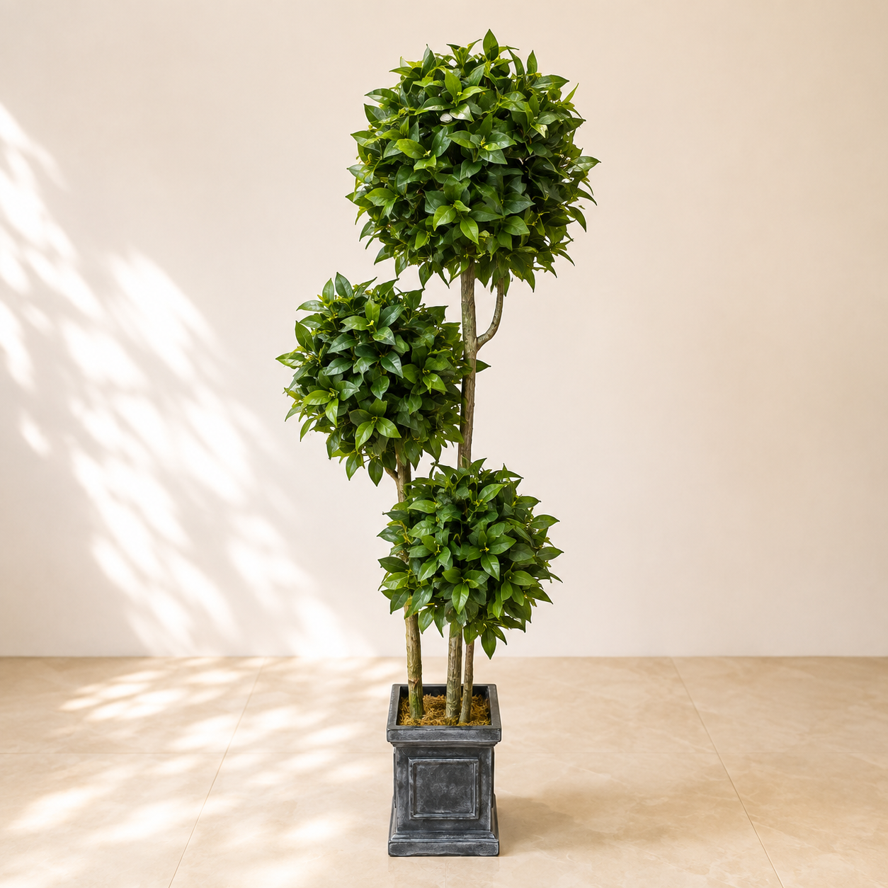 Artificial Three Ball Ficus Topiary