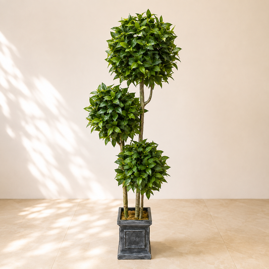 Artificial Three Ball Ficus Topiary