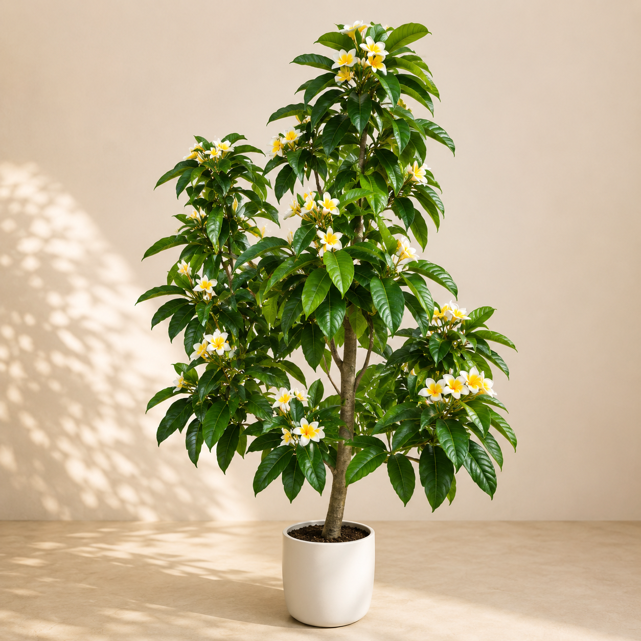 Artificial White Yellow Frangipani Tree