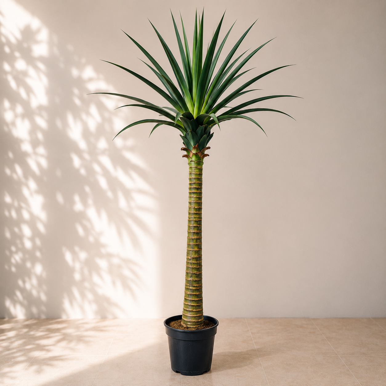 Artificial Yucca Cane Plant