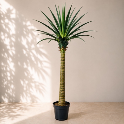 Artificial Yucca Cane Plant